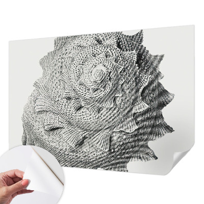 Motivtapete fürs Wohnzimmer Die Kunst der Natur