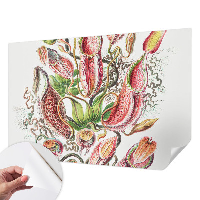 Hochwertige Bildtapete Pflanzendetails