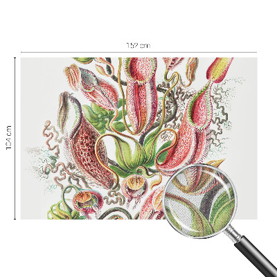 Hochwertige Bildtapete Pflanzendetails