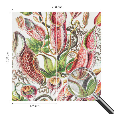 Hochwertige Bildtapete Pflanzendetails