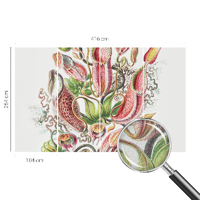 Hochwertige Bildtapete Pflanzendetails