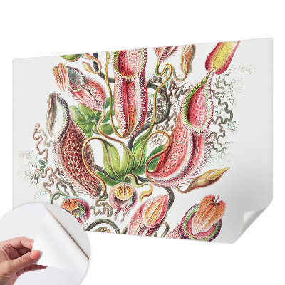 Hochwertige Bildtapete Pflanzendetails