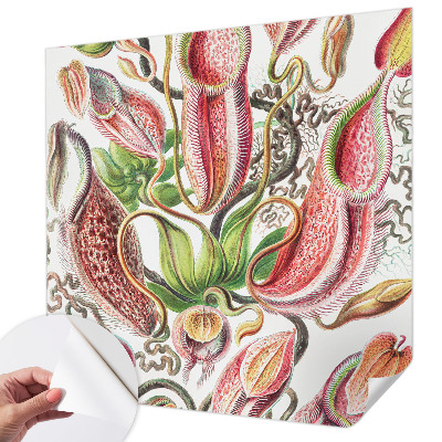 Hochwertige Bildtapete Pflanzendetails