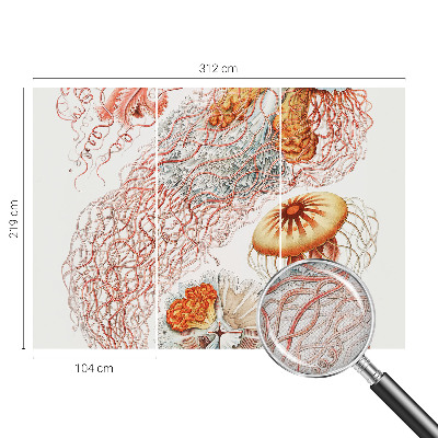 Selbstklebende Fototapete Zierqualle