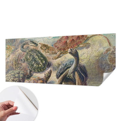 Selbstklebende Fototapete fürs Wohnzimmer Schildkrötenfauna