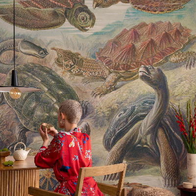 Selbstklebende Fototapete fürs Wohnzimmer Schildkrötenfauna