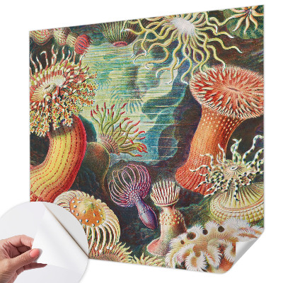 Selbstklebende Fototapete fürs Schlafzimmer Zieranemonen