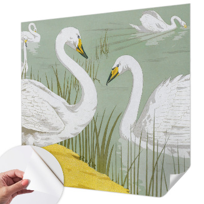 Selbstklebende Fototapete fürs Kinderzimmer Schwanensee