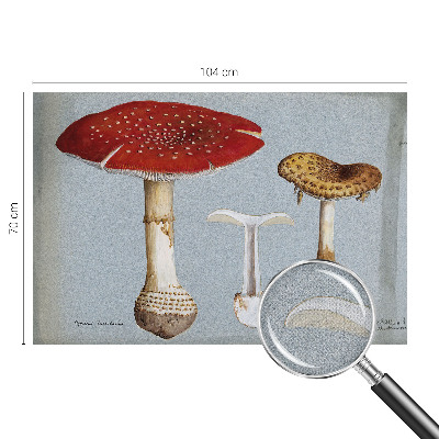 Selbstklebende Fototapete Pilzgravuren