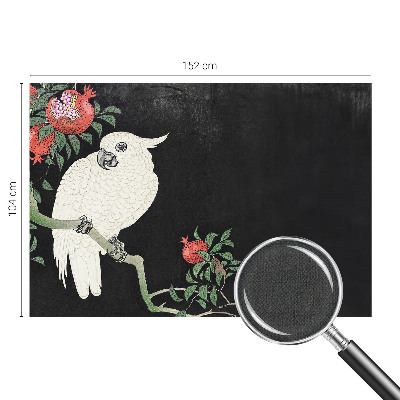 3D-Fototapete fürs Wohnzimmer Granatapfelpapagei