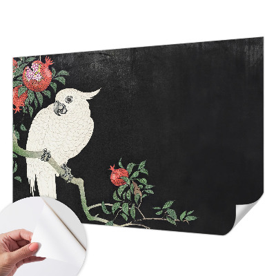 3D-Fototapete fürs Wohnzimmer Granatapfelpapagei