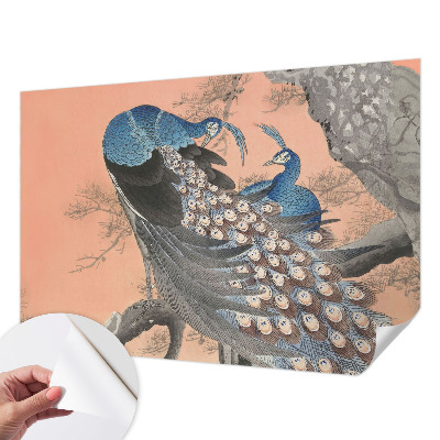 Selbstklebende Fototapete fürs Wohnzimmer Pfaueneleganz