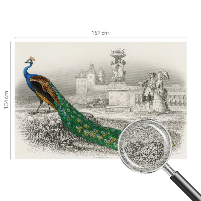 Selbstklebende Fototapete fürs Schlafzimmer Bunte Federn