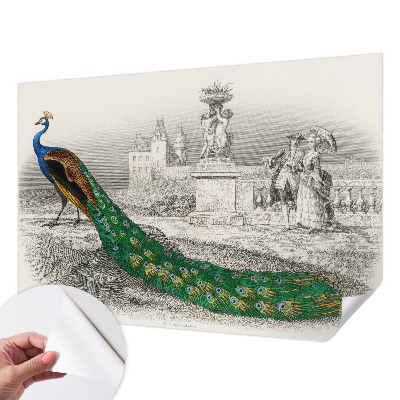 Selbstklebende Fototapete fürs Schlafzimmer Bunte Federn