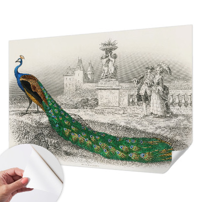 Selbstklebende Fototapete fürs Schlafzimmer Bunte Federn