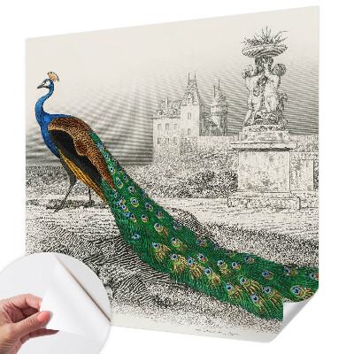 Selbstklebende Fototapete fürs Schlafzimmer Bunte Federn