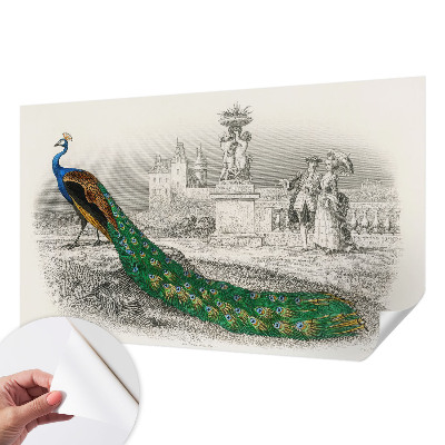 Selbstklebende Fototapete fürs Schlafzimmer Bunte Federn