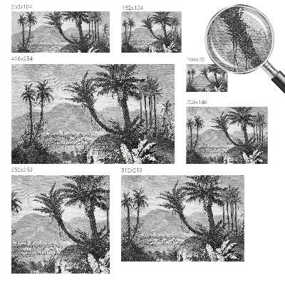 Fototapete in 3D-Optik Tropische Oase