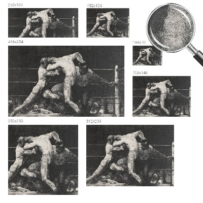 Selbstklebende Fototapete fürs Wohnzimmer Boxerduell