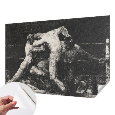 Selbstklebende Fototapete fürs Wohnzimmer Boxerduell