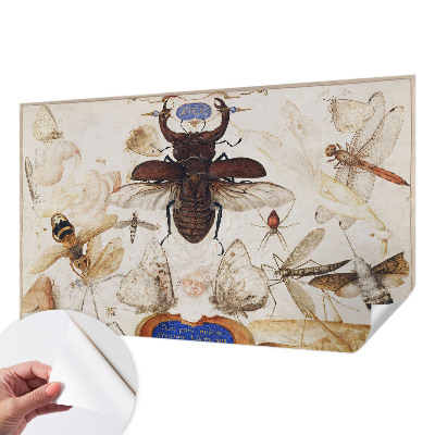 Selbstklebende Fototapete Natürliche Harmonie