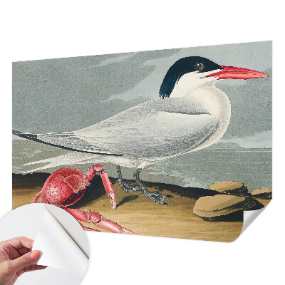 3D-Fototapete fürs Wohnzimmer Meereslandschaft