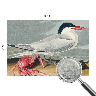 3D-Fototapete fürs Wohnzimmer Meereslandschaft