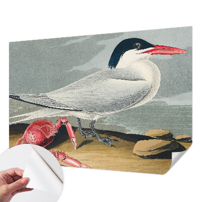 3D-Fototapete fürs Wohnzimmer Meereslandschaft