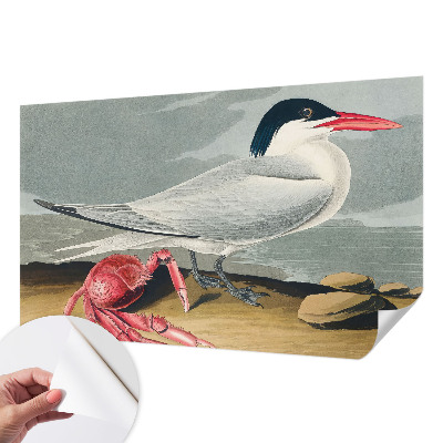 3D-Fototapete fürs Wohnzimmer Meereslandschaft