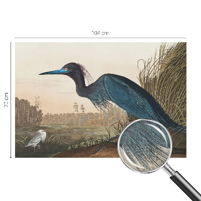 Selbstklebende Fototapete fürs Kinderzimmer Wasservögel