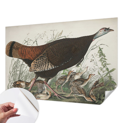 Fototapete in 3D-Optik Natürliche Harmonie