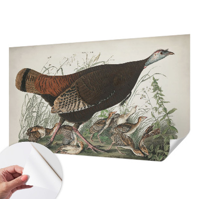 Fototapete in 3D-Optik Natürliche Harmonie