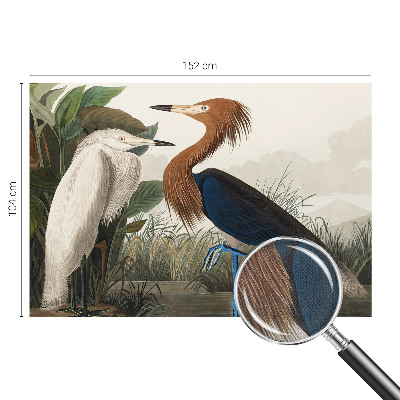 Fototapete nach Maß Vögel in Pflanzen