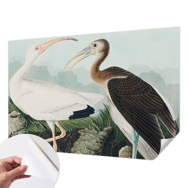 3D-Fototapete fürs Schlafzimmer Vogelpaar