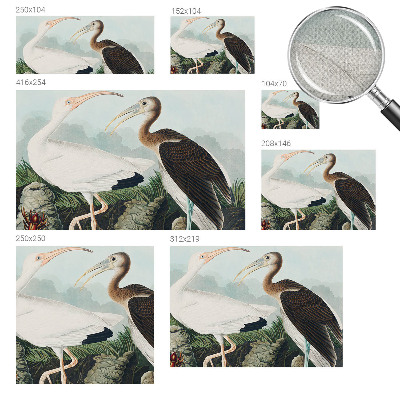 3D-Fototapete fürs Schlafzimmer Vogelpaar