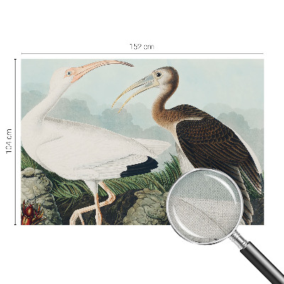 3D-Fototapete fürs Schlafzimmer Vogelpaar