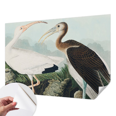 3D-Fototapete fürs Schlafzimmer Vogelpaar