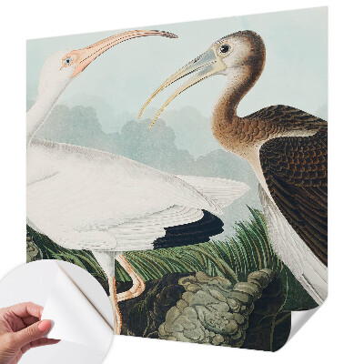 3D-Fototapete fürs Schlafzimmer Vogelpaar