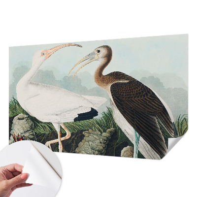 3D-Fototapete fürs Schlafzimmer Vogelpaar