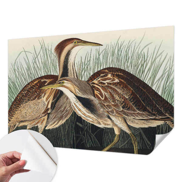 Moderne Fototapete nach Maß Realistische Vögel