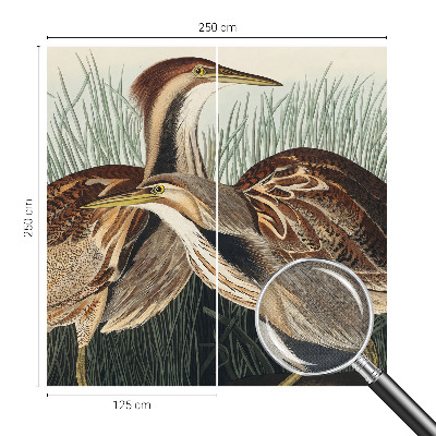 Moderne Fototapete nach Maß Realistische Vögel