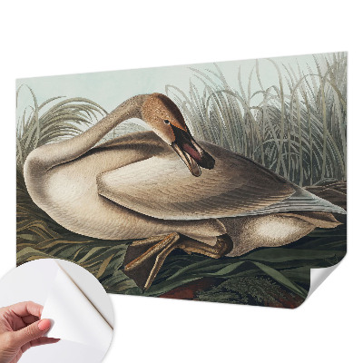 Motivtapete nach Maß Natürlicher Vogel