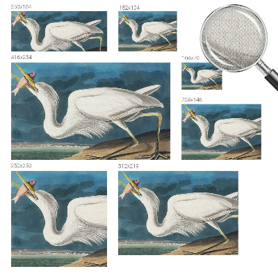 3D-Fototapete Vogel mit Fisch