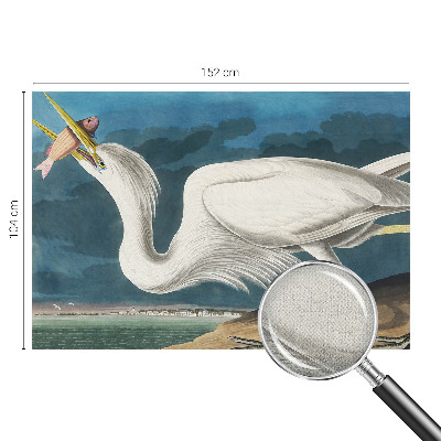 3D-Fototapete Vogel mit Fisch