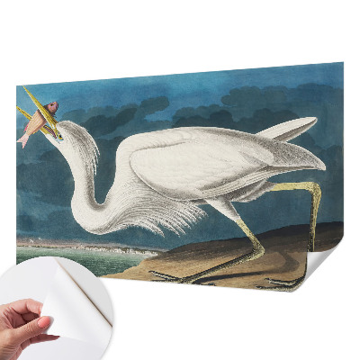 3D-Fototapete Vogel mit Fisch