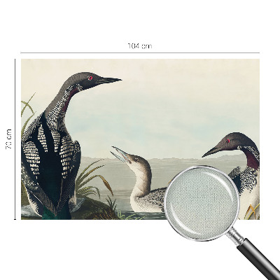 Hochwertige Bildtapete Vögel über dem Wasser