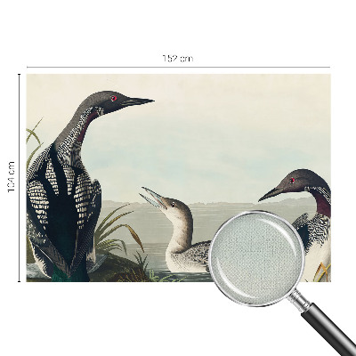 Hochwertige Bildtapete Vögel über dem Wasser