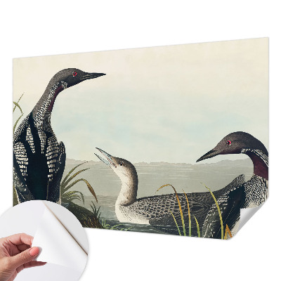 Hochwertige Bildtapete Vögel über dem Wasser