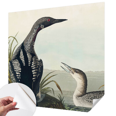 Hochwertige Bildtapete Vögel über dem Wasser