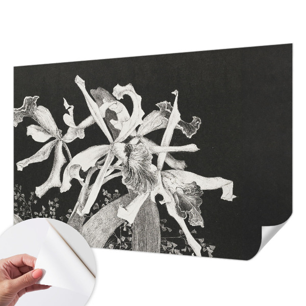 Vintage tapete Orchideenillustration